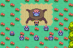 Reunión de Bulbasaur y Venusaur
