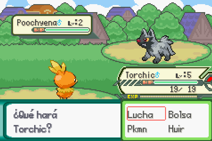 Torchic frente a un Poochyena salvaje